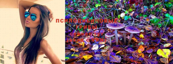 ECSTASY Новозыбков