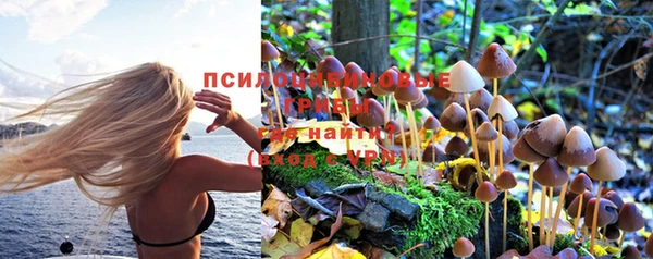 ECSTASY Новозыбков