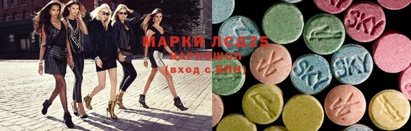 ECSTASY Новозыбков